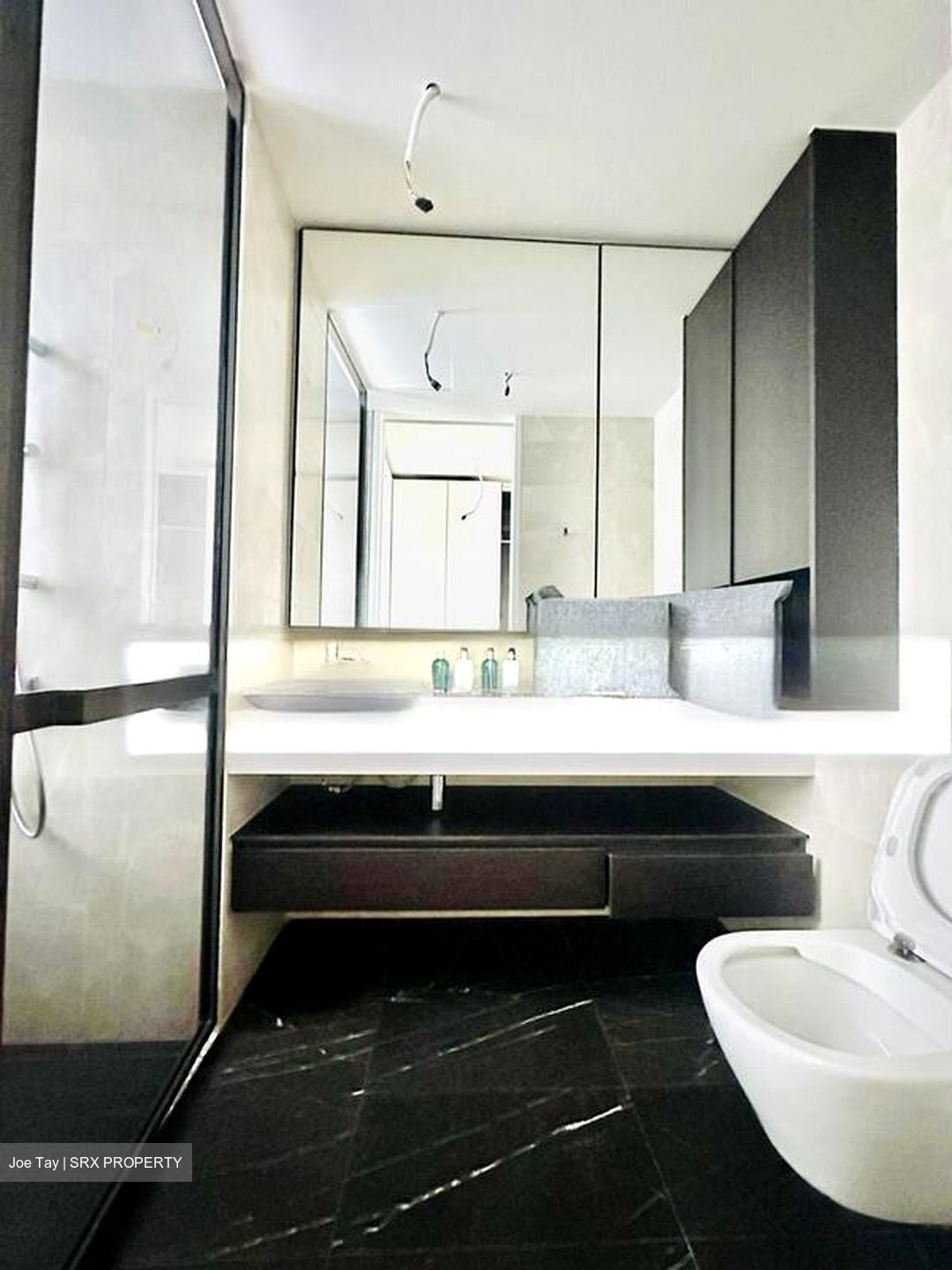 Amber Park (D15), Condominium #502908461